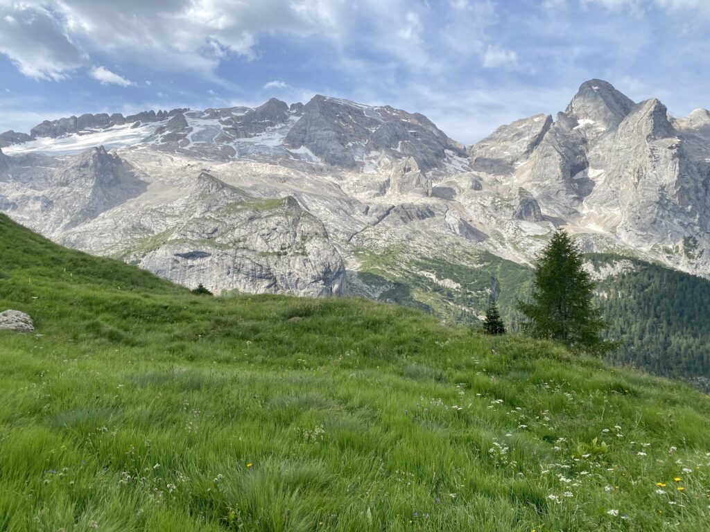 Sua maestà la regina delle Dolomiti, la Marmolada, circondata da pinete e prati alpini