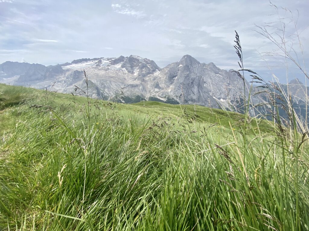 Ammirando lo splendore del ghiacciaio della Marmolada, salendo dal lago Fedaia al rifugio Viel del pan