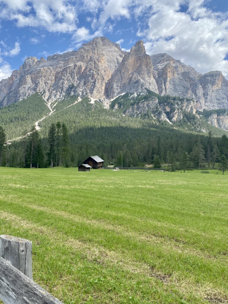 Al margine occidentale del Parco Naturale Fanes-Senes-Braies si trovano i bellissimi prati alpini dell’Armentara, situati sotto le pareti rocciose del Sasso di Santa Croce