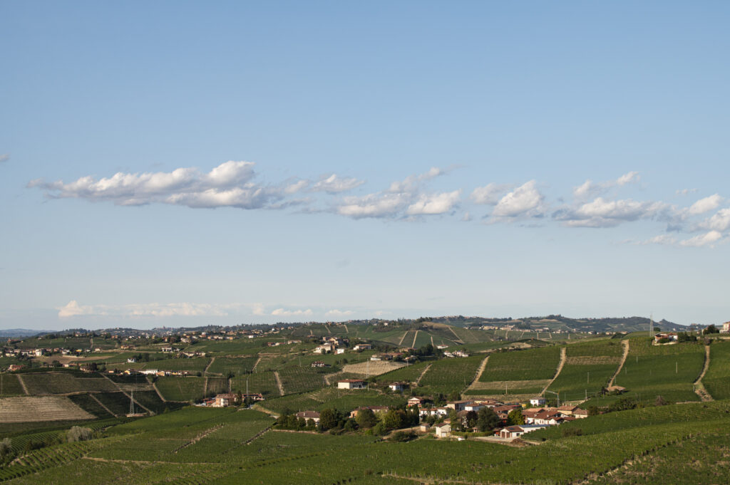 Visione Restaurant and Living: la vista dal giardino